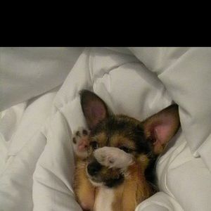 Meet your Posher, Izabella